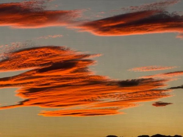 Sunsets and Hummingbirds